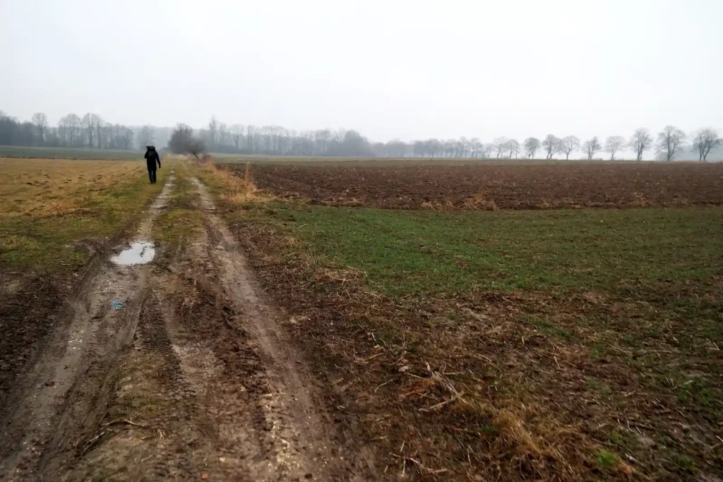 Góry Bystrzyckie 13-14.03.2016 r.