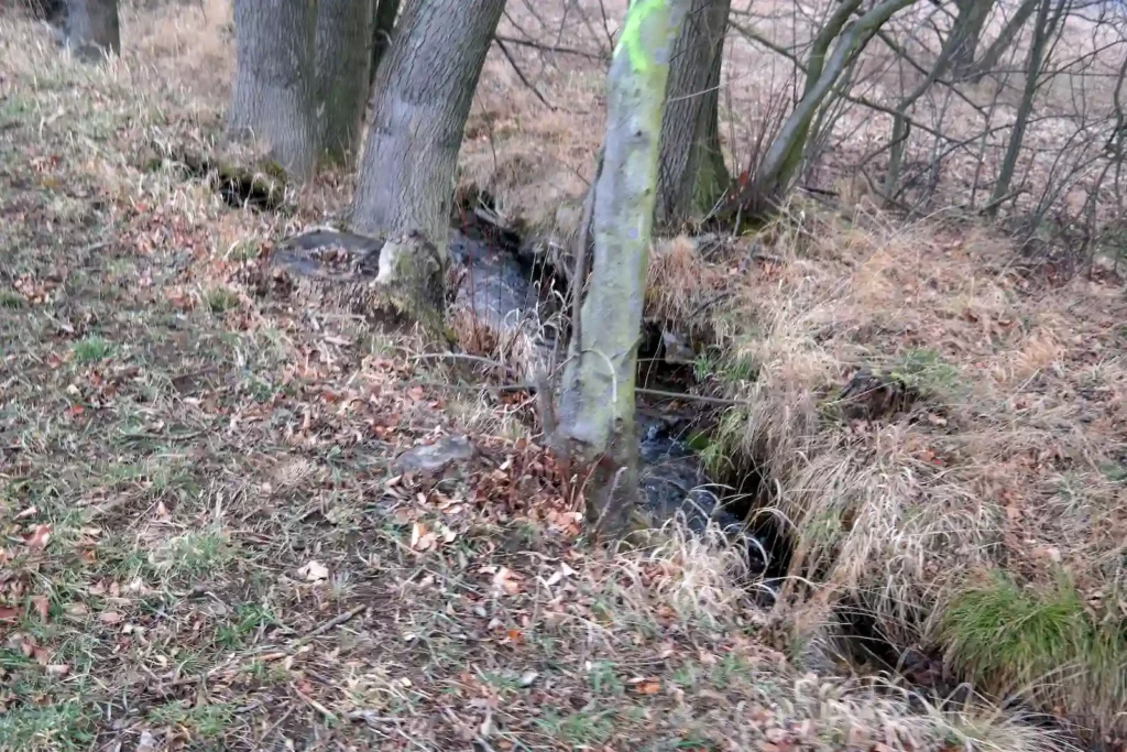 Góry Bystrzyckie 13-14.03.2016 r.