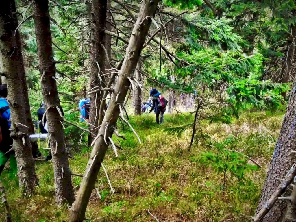 Relacja - wyjazd listopadowy 2015