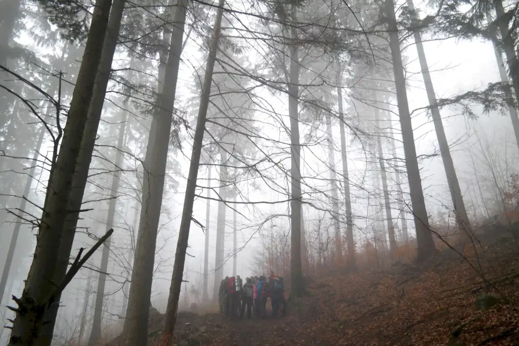 Góry Bystrzyckie 13-14.03.2016 r.