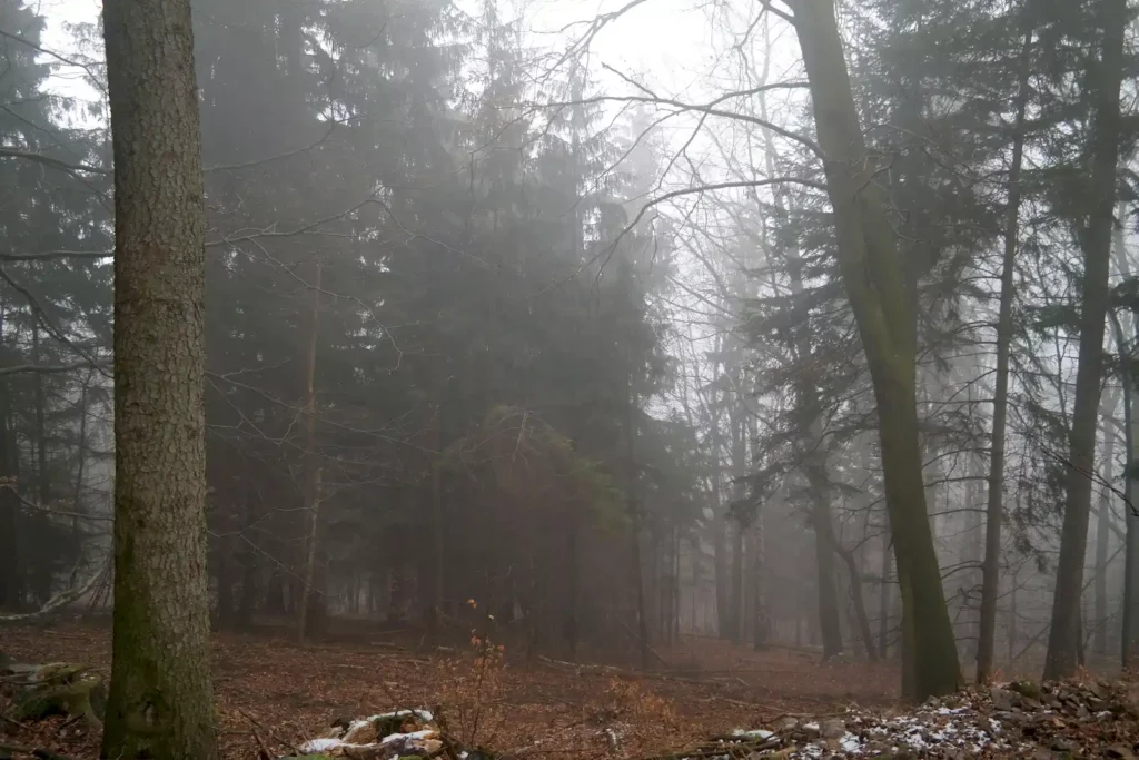 Góry Bystrzyckie 13-14.03.2016 r.