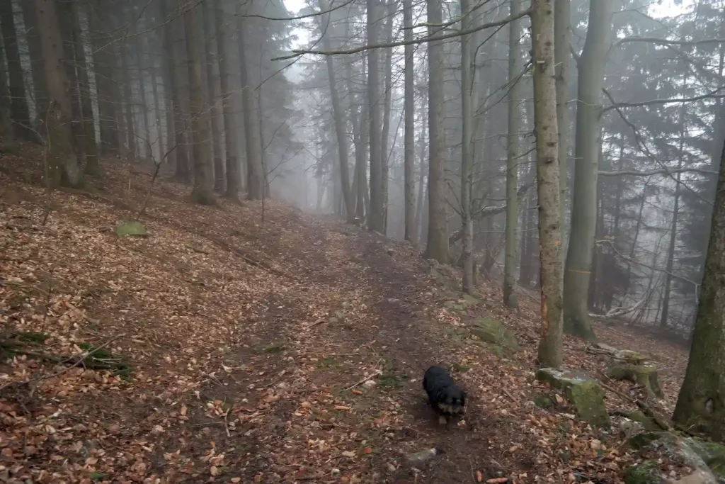 Góry Bystrzyckie 13-14.03.2016 r.