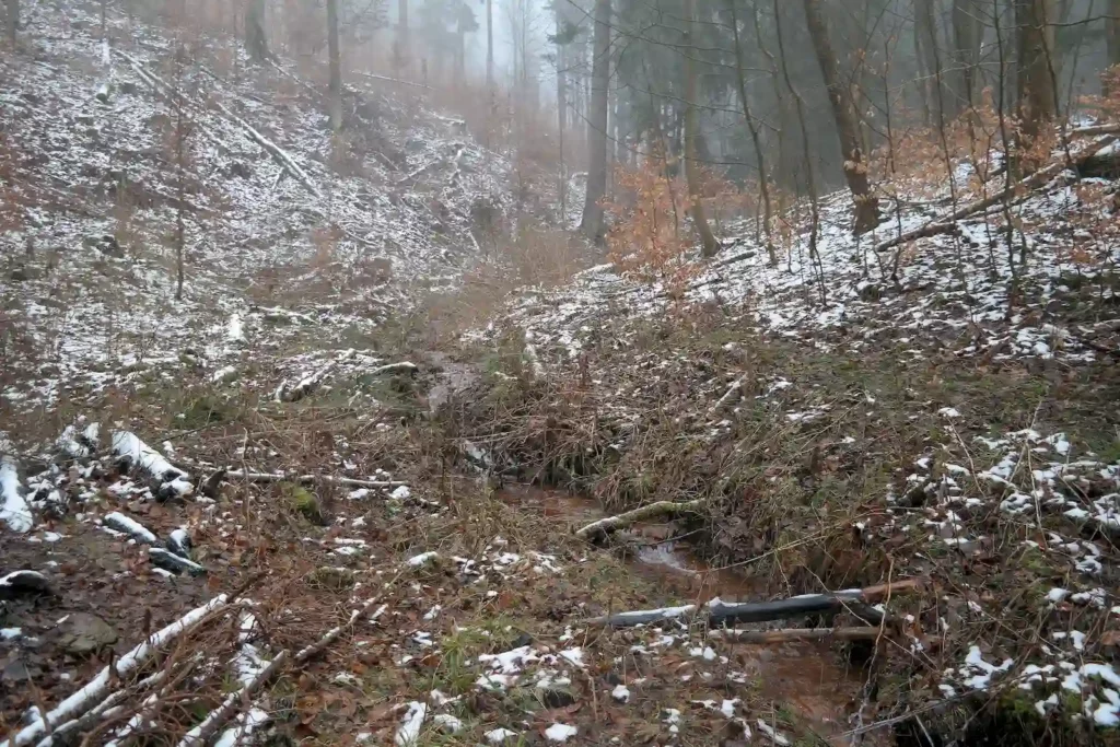Góry Bystrzyckie 13-14.03.2016 r.