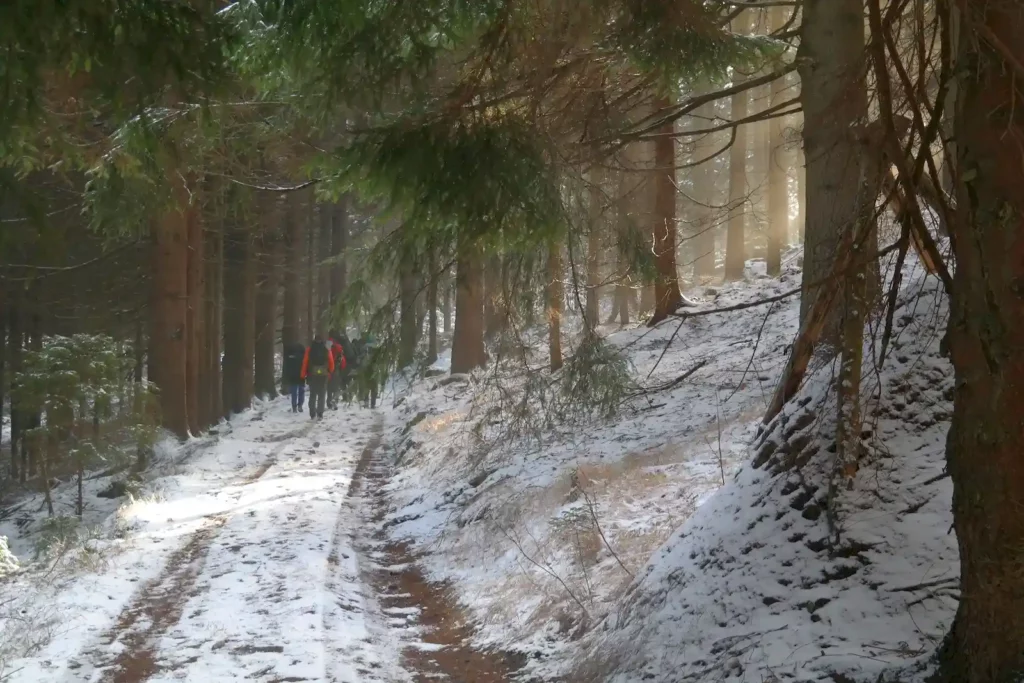 Góry Bystrzyckie 13-14.03.2016 r.