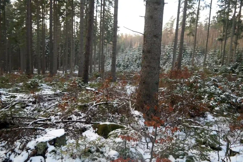 Góry Bystrzyckie 13-14.03.2016 r.