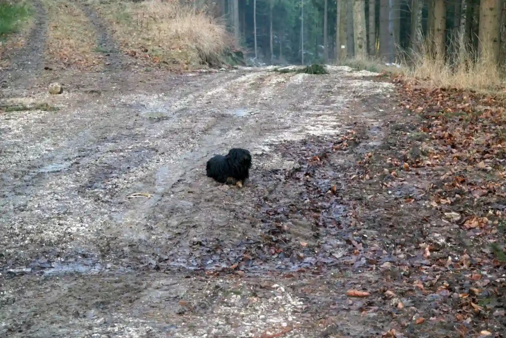Góry Bystrzyckie 13-14.03.2016 r.