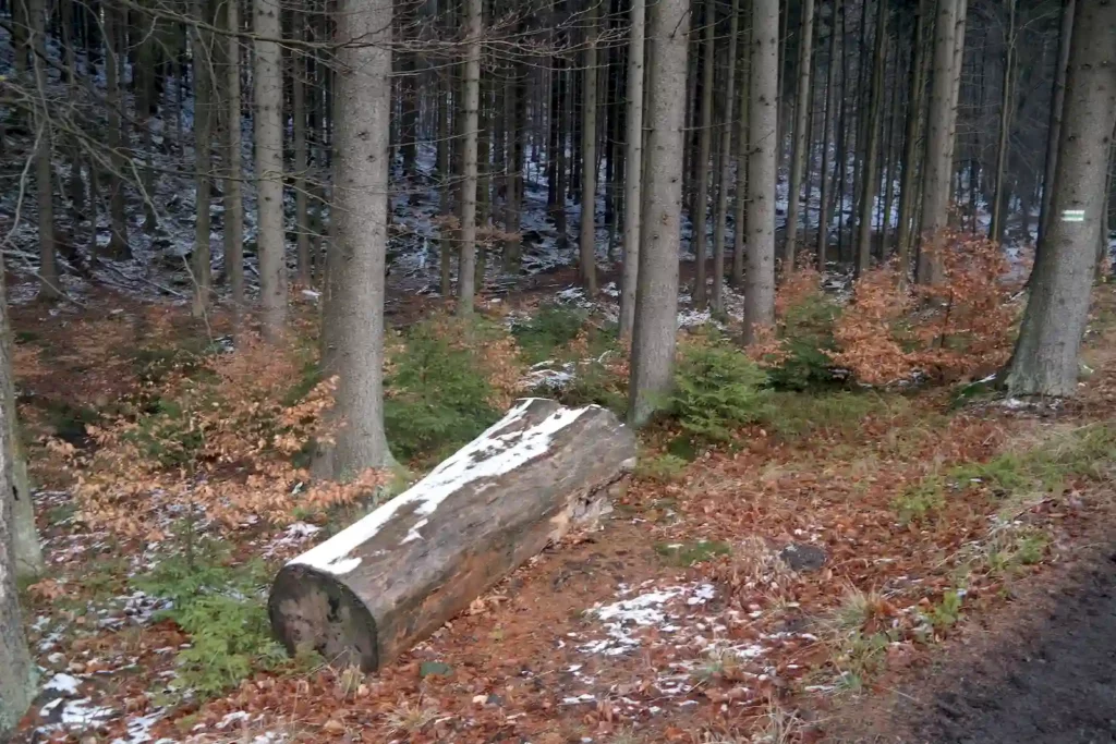 Góry Bystrzyckie 13-14.03.2016 r.