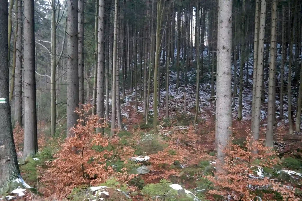 Góry Bystrzyckie 13-14.03.2016 r.