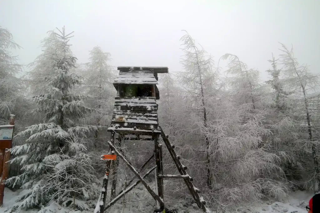 Góry Bystrzyckie 13-14.03.2016 r.