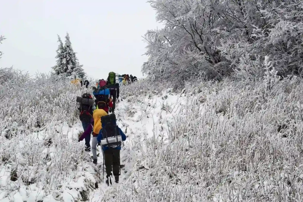 Wyjazd Listopadowy 2016 – Bieszczady opowiedziane wierszem